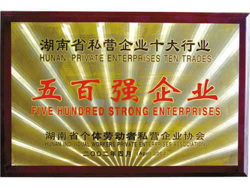 湖南省私营五百强企业